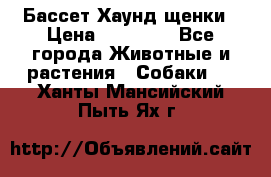Бассет Хаунд щенки › Цена ­ 20 000 - Все города Животные и растения » Собаки   . Ханты-Мансийский,Пыть-Ях г.